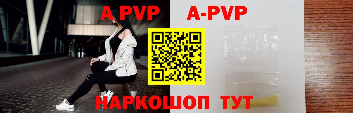 Альфа ПВП СК Кингисепп