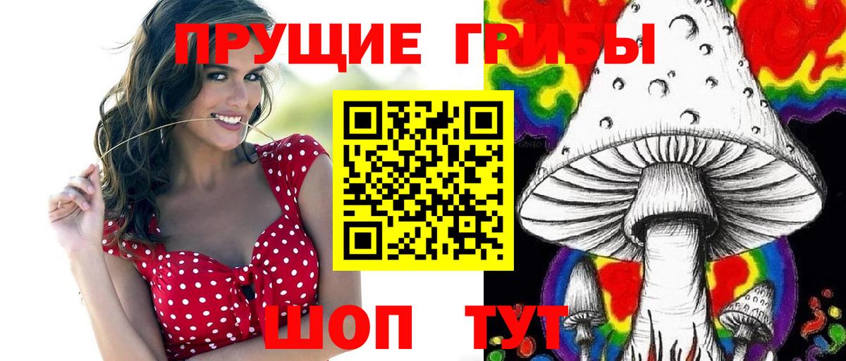 Псилоцибиновые грибы Psilocybe  Вход с VPN  Кингисепп 