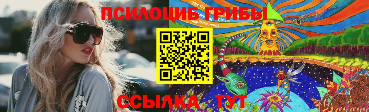 Псилоцибиновые грибы Magic Shrooms Кингисепп